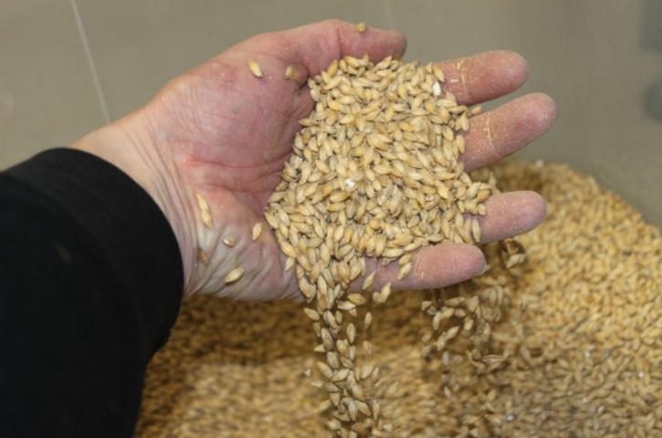 Brouwer Milan Dams met mout